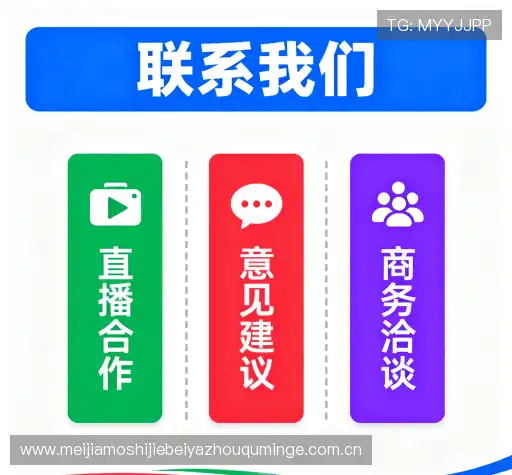 咨询合作